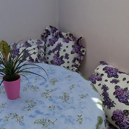 Mini Apartment Petra - Rooms Purple & Green With Kitchen And Garden Dubrovnik Exteriör bild